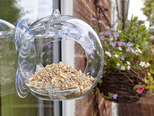 Peckish globe window feeder
with feed