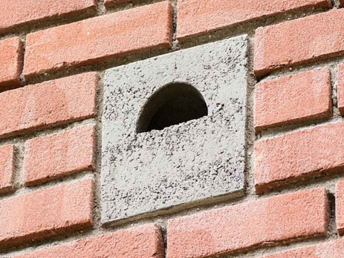 Built in Nest Box installed in a wall