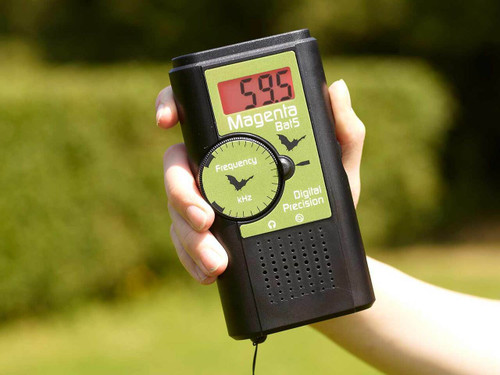 Magenta 5 Bat Detector