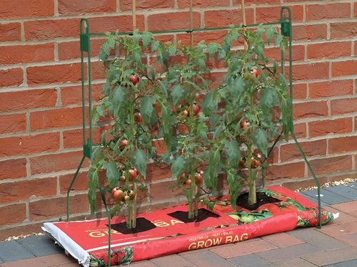 Grow bag support frame