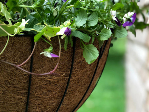 Hanging basket with coco liner