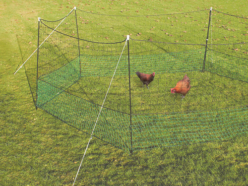 Chicken enclosure polynetting
