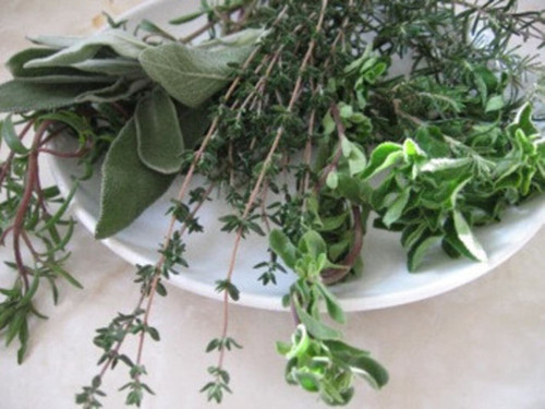 6 herb plants for your very own kitchen herb garden