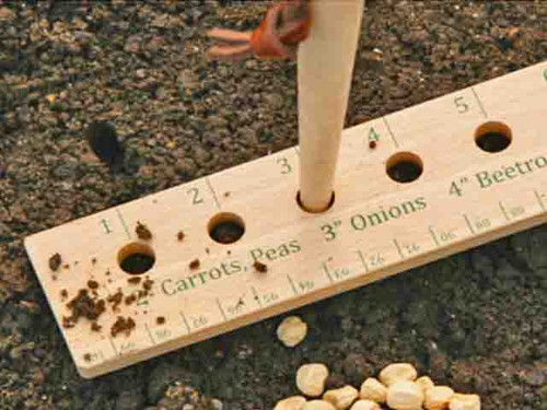 Ruler for seed and plant spacing