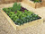 allotment 7 inch timber raised bed kits