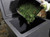 emptying grass into the hotbin composter