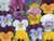 Viola Sorbet Mix colourful flowers