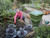 Hungry bin wormery compost bin