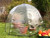 Pop n Crop Poly Brolly
