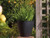 Round Basalt low planter from our decorative pots range