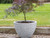 Honey pot planter from stewarts in alpine grey