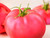 Large pink beefsteak tomatoes with smooth skin, Berner Rose variety