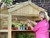 wooden shelving within zest botanic greenhouse