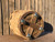 Solid wooden base with wheels attached