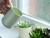 Watering plants on a windowsill using the pale jade watering can Watering plants on a windowsill using the pale jade watering can