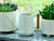Pale jade watering can on a windowsill Pale jade watering can on a windowsill