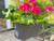 Hanging balcony container