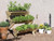 Stepped herb planter with herb plants and compost