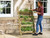 Zest Ladder planter