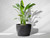 Barrel Plant Pot - Slate Grey (15 inch)