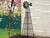 Windmill style obelisk for climbing plants
