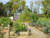 Summer in a raised timber planter veg garden