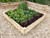 Square timber raised bed kit with vegeatables