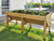VegTrug raised patio planter
