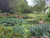 Giant vegetable garden is an enormous amount of vegetable seedlings
