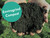 a handful of envirogrind compost and soil improver