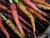 A selection of coloured carrot seeds