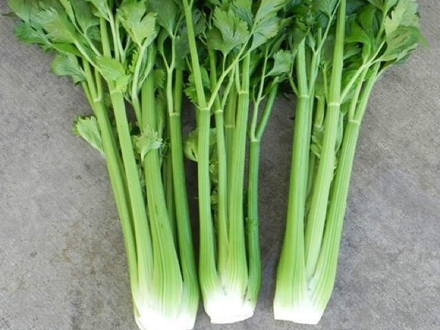 Vegetable Seeds - Celery Family
