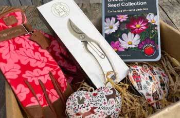 Christmas Hampers Image