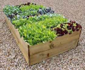 Allotment Beds Image