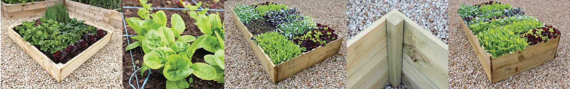Allotment style timber raised garden beds