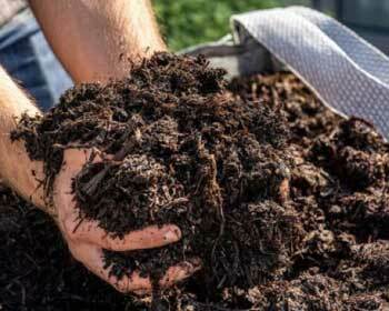 Two hands grabbing some high quality soil