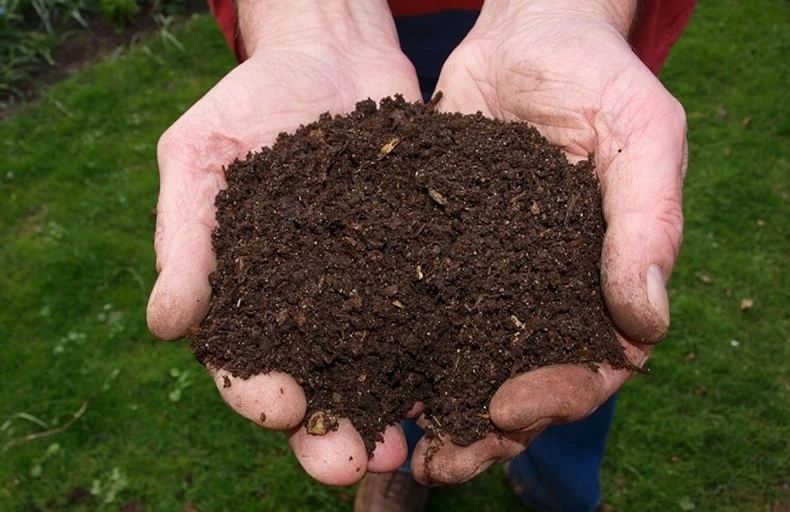 compost 