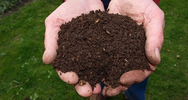 compost 