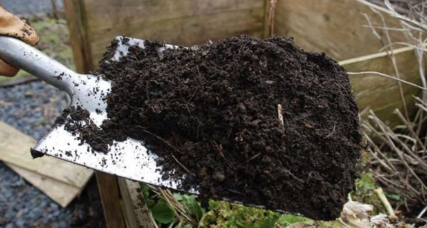 shovelling compost