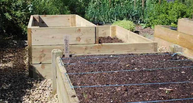 Raised beds with spacing 
