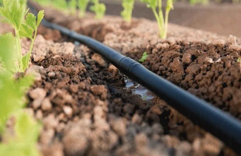 drip irrigation piping