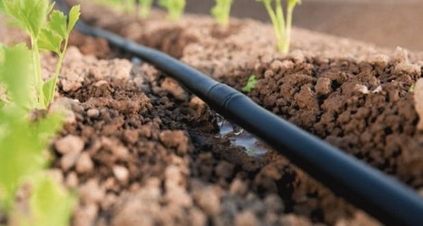 drip irrigation piping