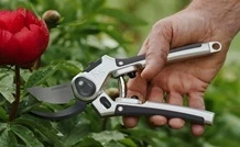 Kent & Stowe all purpose secateurs being used to prune