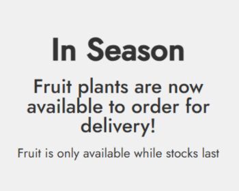 In season. Fruit plants are now available to order for delivery