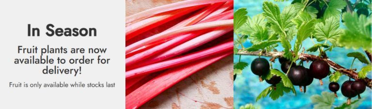 In season. Fruit plants are now available to order for delivery