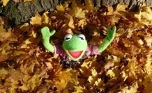 Kermit being smothered by leaves