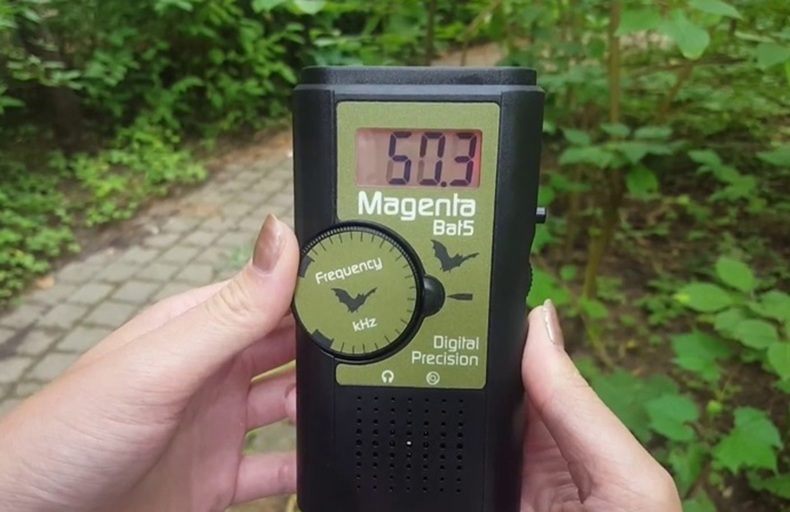a Magenta bat detector