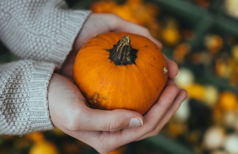 A mini pumpkin in the hand