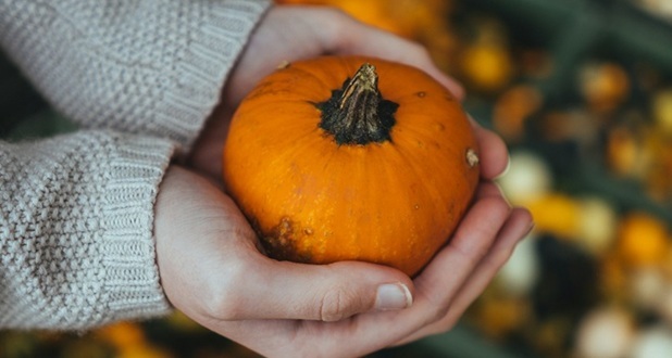 A mini pumpkin in the hand