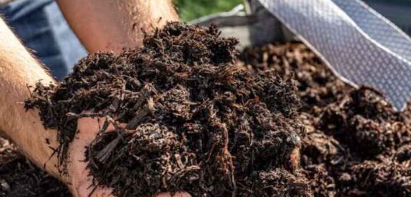 Handful of Quickcrop vegetable soil mix  